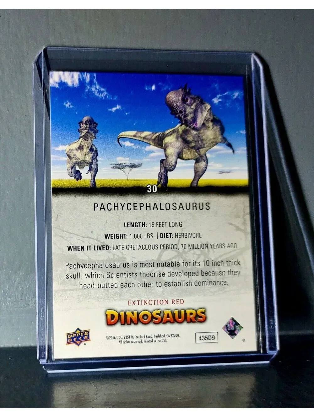 2015 Upper Deck Dinosaurs Pachycephalosaurus Extinction Red Parallel #30 Card
